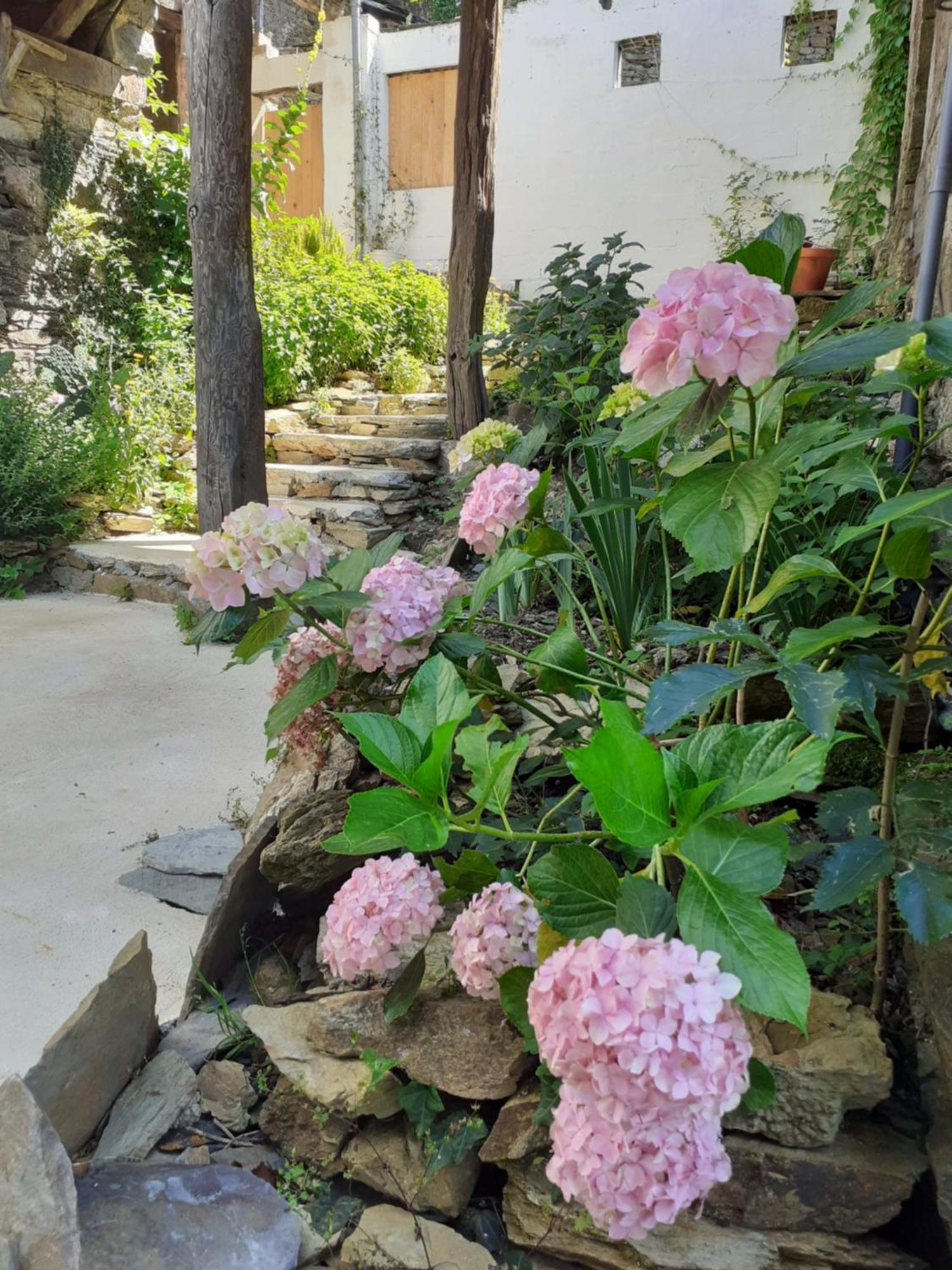 Sons Do Eo Apartamentos Turisticos Baleira Εξωτερικό φωτογραφία